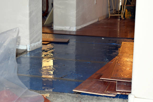Professional Water Removal technician working in Sand Lake, MI